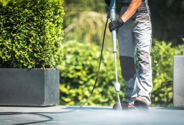 Animal Enclosure Cleaning in Northville, MI