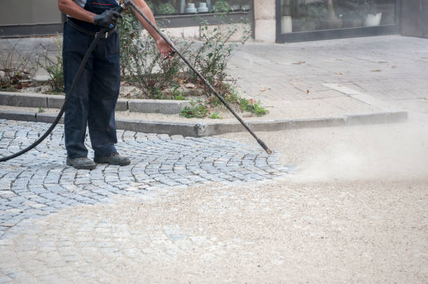 Best House Exterior Washing  in Northville, MI